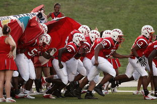 开云官方网-全国青少年长跑赛在南京掀起跑步热潮，青少年长跑标准